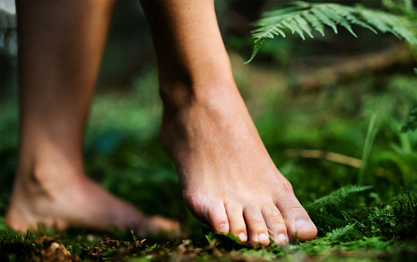 Is Grounding a scam?